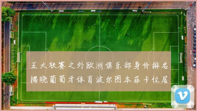 五大联赛之外欧洲俱乐部身价排名揭晓葡萄牙体育波尔图本菲卡位居前三