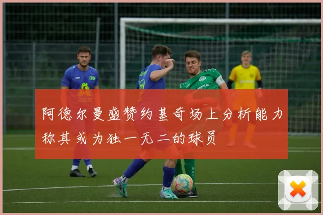 阿德尔曼盛赞约基奇场上分析能力称其或为独一无二的球员