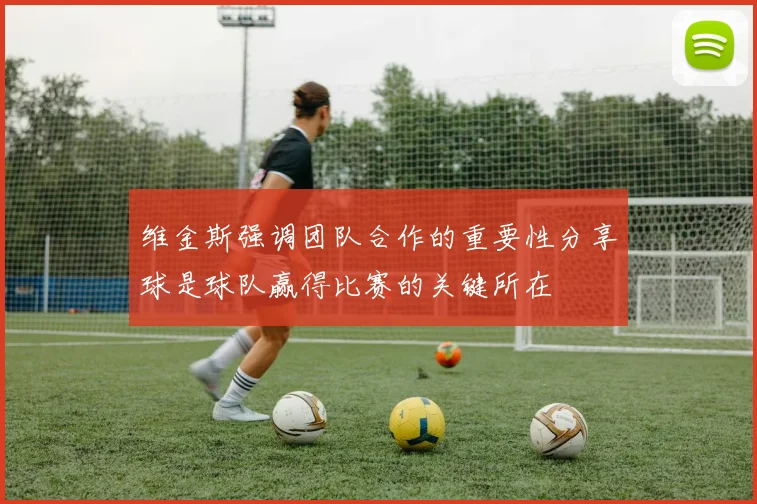 维金斯强调团队合作的重要性分享球是球队赢得比赛的关键所在