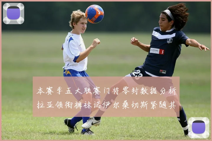 本赛季五大联赛门将零封数据分析拉亚领衔裤袜诺伊尔桑切斯紧随其后